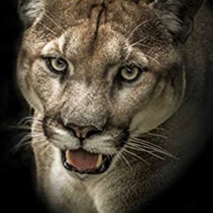 Meet your Posher, Karina